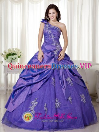 Elegant A-line Purple One Shoulder Appliques and Ruch Quinceanera Dresses Oline Taffeta and Organza In Galashiels Borders