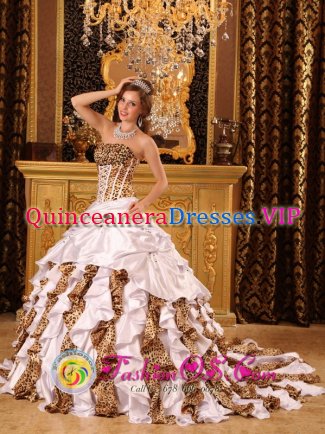 Taffeta and Leopard Ruffles Beaded Decorate Bust Droped Waist Ball Gown Brush Train For Carson City