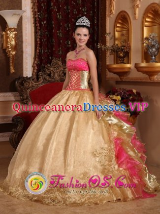 Pittsburgh Pennsylvania/PA Gorgeous Embroidery Decorate Bodice Champagne Ball Gown Quinceanera Dress For Organza and Floor-length