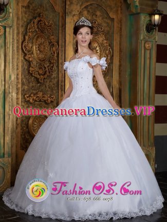 Vermillion South Dakota/SD Custom Made Off The Shoulder For Quinceanera Dress With Lace Appliques and Hand Made Flower Decorate
