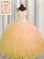 Edgy See Through Zipper Up Gold Quinceanera Dress Military Ball and Sweet 16 and Quinceanera with Beading and Ruffles Straps Sleeveless Zipper(SKU PSSW0435-3BIZ)