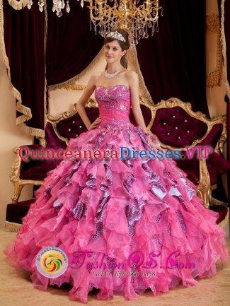 Hot Pink Sweetheart Neckline Quinceanera Dress With Leopard and Organza Ruffled Skirt In Casa Grande AZ　