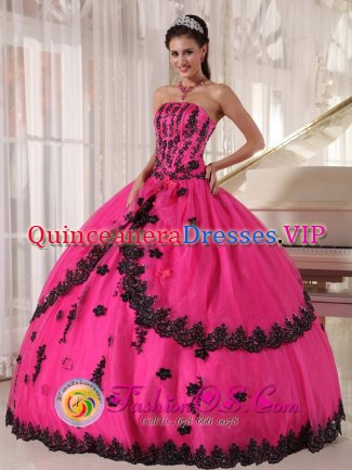 Kannus Finland Perfect Organza and Taffeta Appliques Decorate Bodice Hot Pink Quinceanera Dress For Strapless Ball Gown