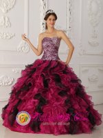 Denver Carolina/NC Stylish Multi-color Leopard and Organza Ruffles Quinceanera Dress With Sweetheart Neckline