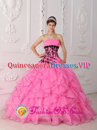 Williston Vermont/VT New York Sweet Hot Pink Quinceanera Dress With Appliques and Ruffled Decorate