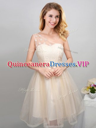 Champagne One Shoulder Lace Up Lace and Appliques and Belt Damas Dress Sleeveless