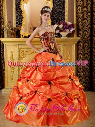 Mount Shasta California/CA Strapless Embroidery and Appliques for Orange Sweet Pick-ups Quinceanera Dress Taffeta