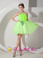 Spring Green A-line Strapless Mini-length Organza Hand Made Flowers Quinceanera Dama Dress in South Miami FL(SKU MLXNHY08BIZ)
