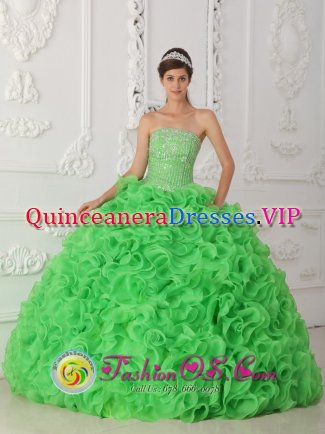 Cedar Rapids Iowa/IA Beautiful Rolling Flowers Green Quinceanera Dress For Strapless Organza With Beading Ball Gown
