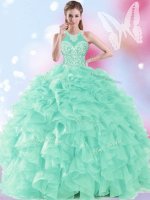 Halter Top Sleeveless Lace Up Quinceanera Gowns Apple Green Organza(SKU QDDTA124002-2BIZ)