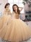 High Quality Scoop Sleeveless Lace Up Little Girls Pageant Dress Wholesale Champagne Tulle