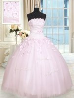 Baby Pink Sleeveless Floor Length Beading and Appliques Lace Up Quinceanera Gowns