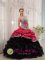 Pottstown Pennsylvania/PA Gorgeous Zebra and Taffeta and Organza Beading and Pick-ups Colorful Ball Gown For Quinceanera Dress