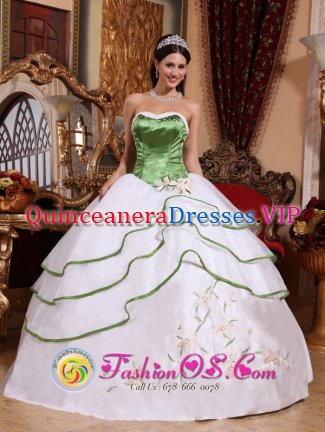 Cinco Esquinas Costa Rica Spring Green and White For Stylish Quinceanera Dress Strapless Organza Embroidery