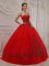 Marshalltown Iowa/IA Elegent Tulle Sweetheart Strapless Appliques Decorate Quinceanera Dress With Floor-lengthVVVVV