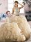 Adorable Beading and Ruffles 15th Birthday Dress Champagne Zipper Sleeveless Floor Length