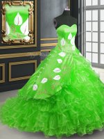 Green Lace Up Sweetheart Embroidery Quince Ball Gowns Organza Sleeveless Brush Train(SKU PSSW0166-5BIZ)