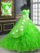 Green Lace Up Sweetheart Embroidery Quince Ball Gowns Organza Sleeveless Brush Train