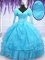 Vintage Baby Blue Ball Gowns V-neck Long Sleeves Organza Floor Length Lace Up Embroidery Quinceanera Gowns