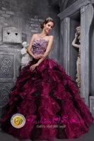 West Valley City Utah/UT Leopord and Deaded Decorate Bodice Ruffles Wild Fushsia Quinceanera Dress Custom Made 