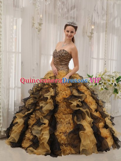 Unique Multi-color Custom Made Zebra Ruffles Sweetheart Quinceaners Dress in Spring In Panora Iowa/IA - Click Image to Close