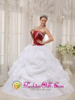 Geneva Nebraska/NE White and Wine Red Appliques Stylish Quinceanera Dress With Strapless Pick-ups