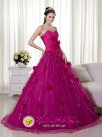 Brush Train and Hand Made Flowers Quinceanera Dress With Fuchsia Sweetheart In Ripley West virginia/WV(SKU MLXN057J8BIZ)