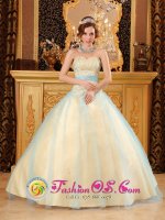 Hurst TX Elegant Beading Light Yellow Quinceanera Dress For Sweetheart Satin and Organza A-line Gowns(SKU QDZY115y-6BIZ)