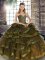 Sweetheart Sleeveless Lace Up Quinceanera Dress Olive Green Tulle