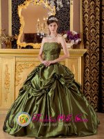 Tiffany & Co Tavernier Florida/FL Brand New Olive Green Quinceanera Dress Clearrance With Taffeta Appliques And Pick-ups Decorate[QDZY149-DBIZ]