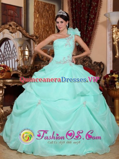 Fashionable Baby Blue One Shoulder Sweet 16 Dress With Appliques and Pick-ups For Formal Evening In Waterford Wisconsin/WI - Click Image to Close