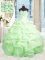 Romantic Sweetheart Sleeveless Organza Sweet 16 Dresses Beading and Ruffles Lace Up