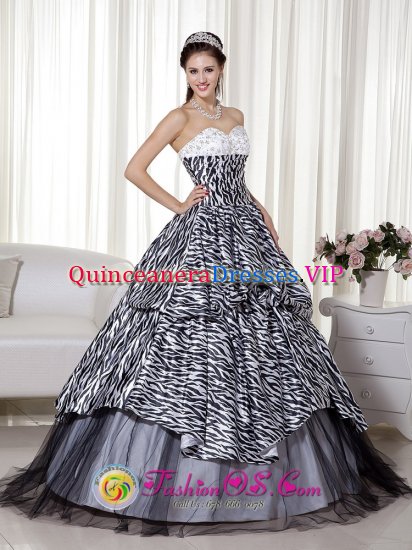 Wonderful Beading and Ruch Spring Lake Michigan/MI Quinceanera Dress Luxurious A-line Princess Sweetheart Floor-length Zebra and Organza - Click Image to Close