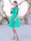 Glorious V-neck Cap Sleeves Lace Quinceanera Dama Dress Ruching Lace Up