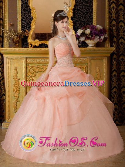 Coconut Grove Florida/FL Beaded Decorate With Baby Pink Romantic Strapless Quinceanera Dress - Click Image to Close