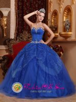 Palmyra Missouri/MO Appliques and Beading Blue For Affordable Quinceanera Dress Sweetheart Tulle(SKU QDZY364-GBIZ)