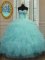 Charming Ball Gowns Quinceanera Gowns Aqua Blue Sweetheart Organza Sleeveless Floor Length Lace Up