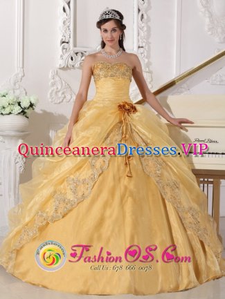 Embroidery with Beading Decorate Organza Popular Gold Quinceanera Dress with hand made flower In Manhattan New York/NY