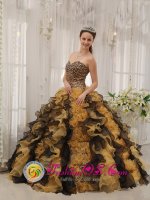 Unique Multi-color Custom Made Zebra Ruffles Sweetheart Newark Delaware/ DE Quinceaners Dress in Spring