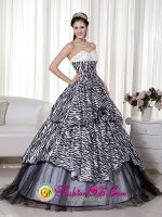 McKinney Texas/TX Wonderful Beading and Ruch Quinceanera Dress Luxurious A-line / Princess Sweetheart Floor-length Zebra and Organza