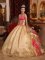 Pocahontas Iowa/IA Gorgeous Embroidery Decorate Bodice Champagne Ball Gown Quinceanera Dress For Organza and Floor-length