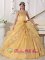 Amherst NY Embroidery with Beading Decorate Organza Popular Gold Quinceanera Dress with hand made flower