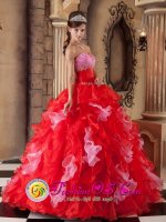 Red Ball Gown Strapless Sweetheart Floor-length Organza Quinceanera Dress in Opelika Alabama/AL(SKU QDZY250-ABIZ)