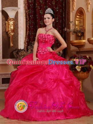 Vero Beach Florida/FL Quinceanea Dresses Stylish Hot Pink Beaded Decorate Organza Sweet 16 Dresses Wear
