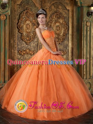 Gorgeous Orange Quinceanera Dress In New York Sweetheart Appliques Floor-length Organza Ball Gown