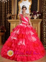 Colorful Hand Made Flowers Decorate One Shoulder and Ruffles Layered For Ball Gown Quinceanera Dress IN GeneseoNY
