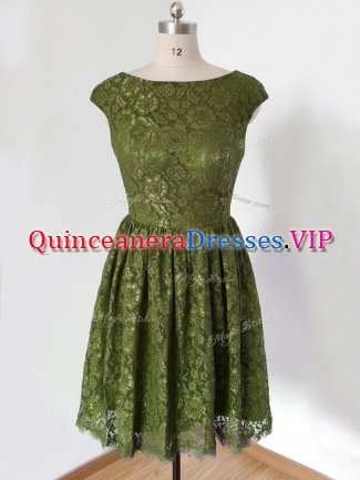 Knee Length Olive Green Dama Dress Lace 3 4 Length Sleeve Lace