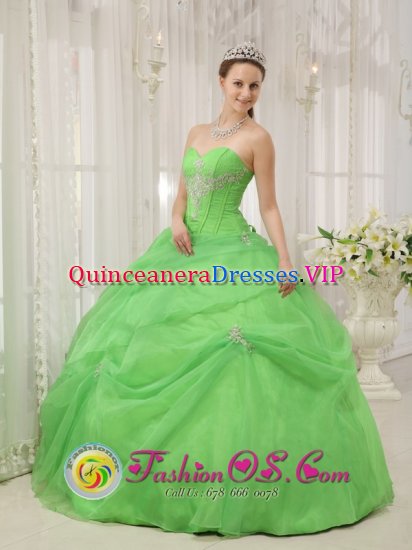 Red River New mexico /NM Quinceanera Dress For Quinceanera With Spring Green Sweetheart neckline Floor-length - Click Image to Close