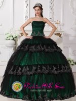 Taffeta and Lace For Dark Green Gorgeous Quinceanera Dress With Ruched Bodice and Appliques In Mackinaw City Michigan/MI