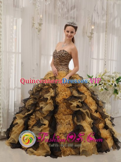 Norwalk CA Unique Multi-color Custom Made Zebra Ruffles Sweetheart Quinceaners Dress in Spring - Click Image to Close